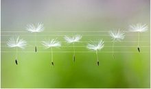 描述开心时的风的句子