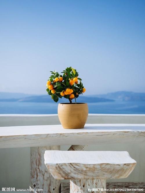 如何为老人写一个友善的微笑