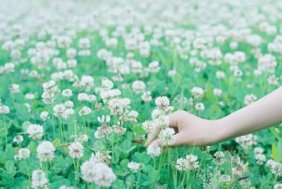 生活需要您循序渐进