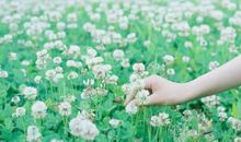 感悟人生的语录