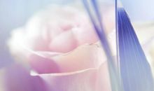 关于愚人节的搞笑句子