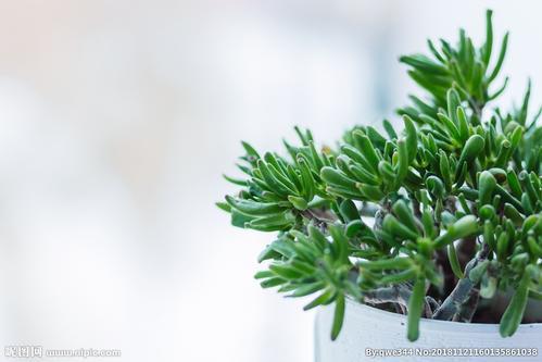 请享受有关表达比金钱更重要的家庭关系的句子