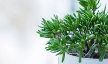 表达亲情比钱重要的句子