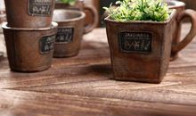 赞扬亲情的内涵句子