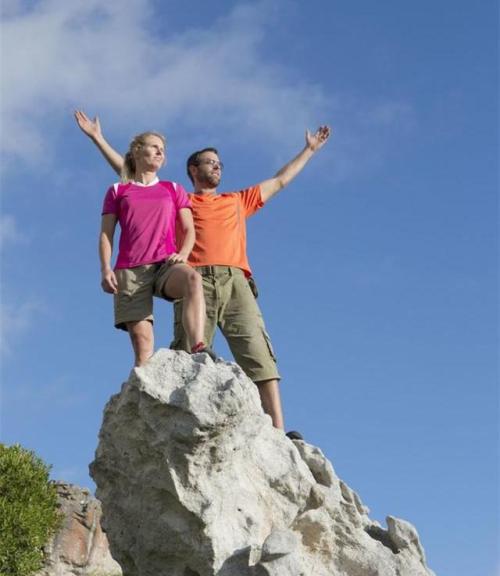 这里有一些关于才华和勇气的报价