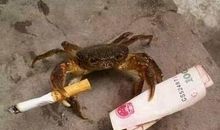 幽默搞笑的句子笑死人