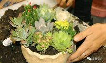 形容亲情爱的句子