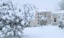 写有关于拟人的句子