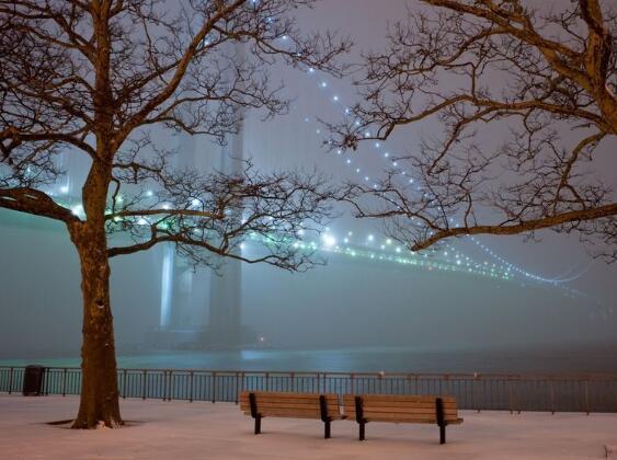 桃子和李子遍布世界各地
