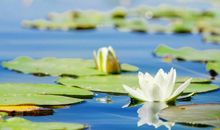 一些亲情温暖的短句子