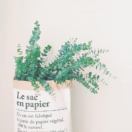 遇见您是偶然的