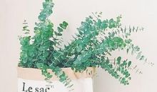 失望心碎的长句子