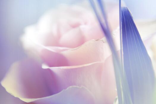 教学就像一阵春风