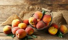 亲情温馨句子大全