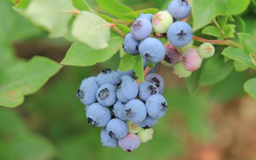 让我们看一下编辑器编写的有关通过描述环境来表达家庭感觉的句子