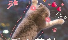 形容男人风流句子 讽刺男人花心的句子