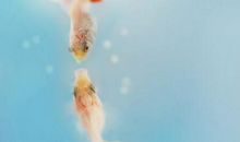 2019描写初秋的优美句子精选