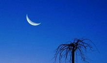 思念故乡的句子