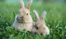 给孩子开心快乐的句子