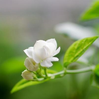 在夜深人静的时候