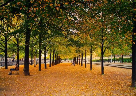 以下是小编编写的经典人生理解句子