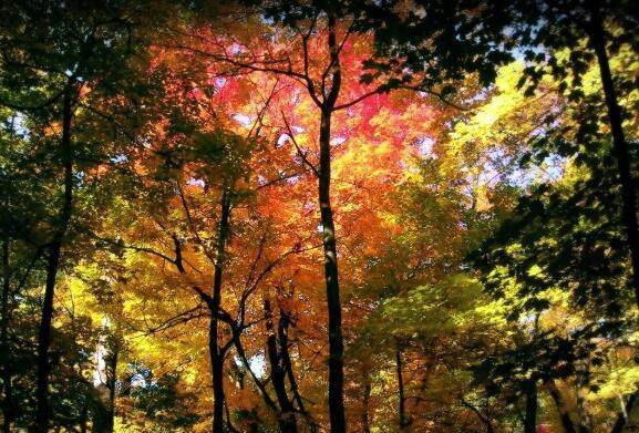 即使你拼命地回忆过去