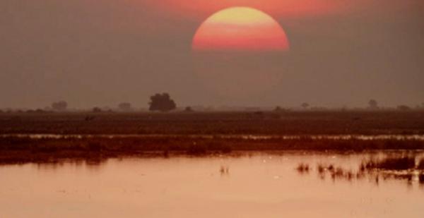 游子一直想念他的家乡