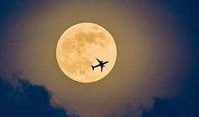 有关思念故乡的句子