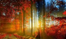 人生的感悟经典句子