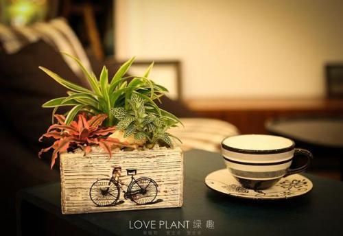 让我们看一下有关编辑编辑的最感人的句子的观点