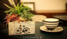 最能打动人心句子亲情