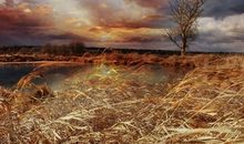 人生十年感悟句子