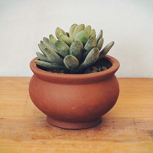 编辑编写了一些有关青年情感和抒情的句子