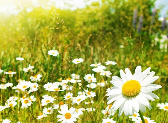 花开满不同的奖励