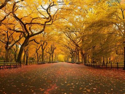 并非每个人都适合与您一起变老