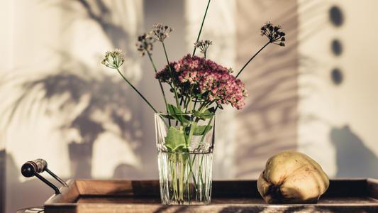 编辑整理了一些与家庭有关的句子