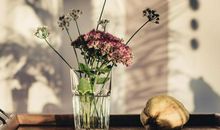 与亲情相关的句子