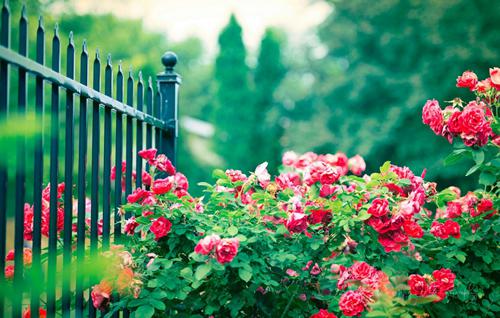 世界稳定”中悄悄传来