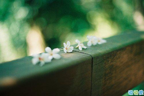 编辑编辑了一些有关显示家庭之爱更多是关于陪伴的句子