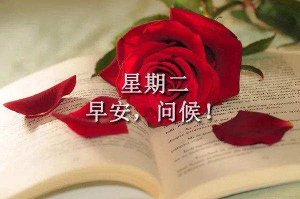 让幸福填补星期二的压力