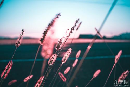 家庭之爱更多是关于陪伴