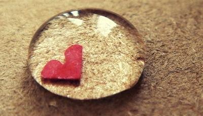 一个人最大的恐惧是他所回报的失望