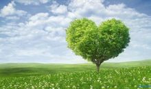 人生感悟的格言