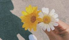 姐妹友情暖心短句 好朋友好闺蜜超暖句子