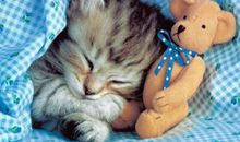 搞笑语句2016：肩膀有点痒，好像在长小翅膀