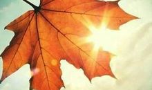 对亲朋失望的句子