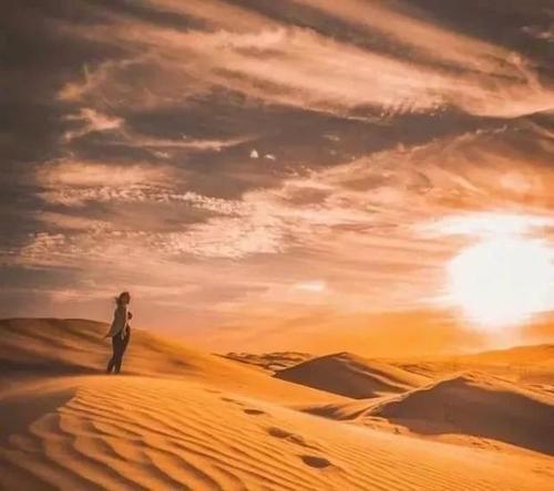 但最终的现实是残酷的