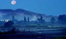 关于山村月色的优美句子