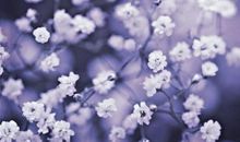 愿你以后开开心心的句子