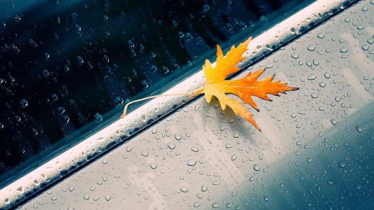 让我们看一下小编编写的经典句子：祝人们幸福